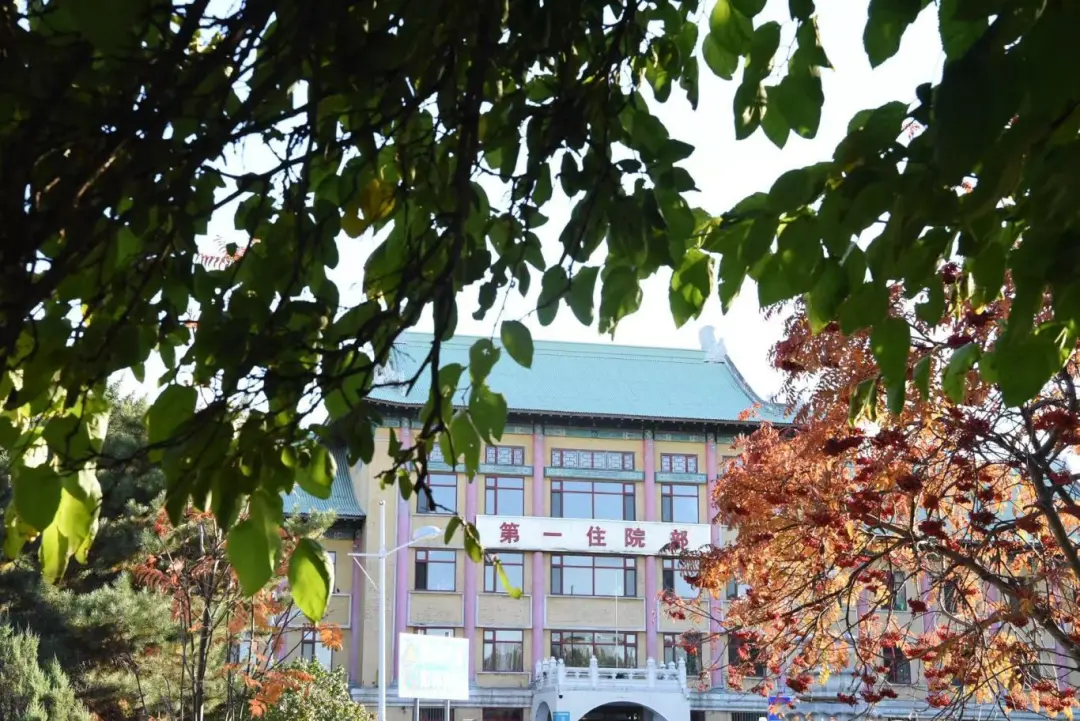 实验室-(5).png 图片